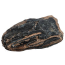 Mammoth Tooth - Fossil Specimen