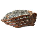 Mammoth Tooth - Fossil Specimen
