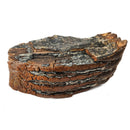 Mammoth Tooth - Fossil Specimen