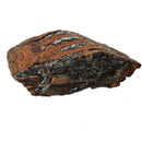 Mammoth Tooth - Fossil Specimen