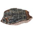 Mammoth Tooth - Fossil Specimen