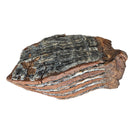 Mammoth Tooth - Fossil Specimen