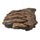 Mammoth Tooth - Fossil Specimen