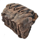 Mammoth Tooth - Fossil Specimen