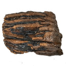 Mammoth Tooth - Fossil Specimen