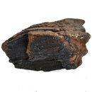 Mammoth Tooth - Fossil Specimen