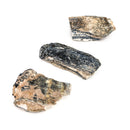 Mammoth Tooth Shards - Rough