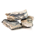 Mammoth Tooth Shards - Rough