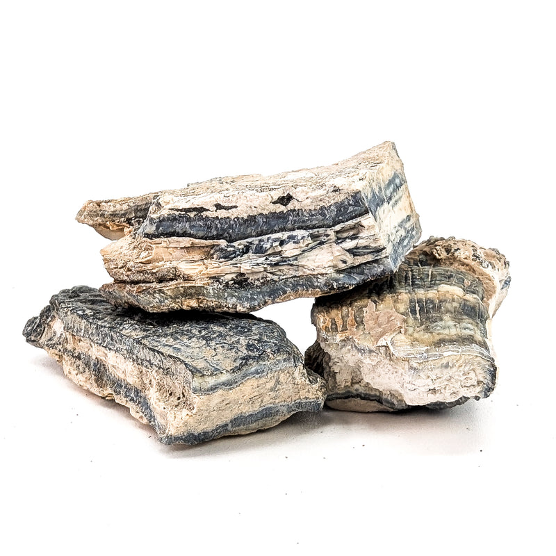 Mammoth Tooth Shards - Rough