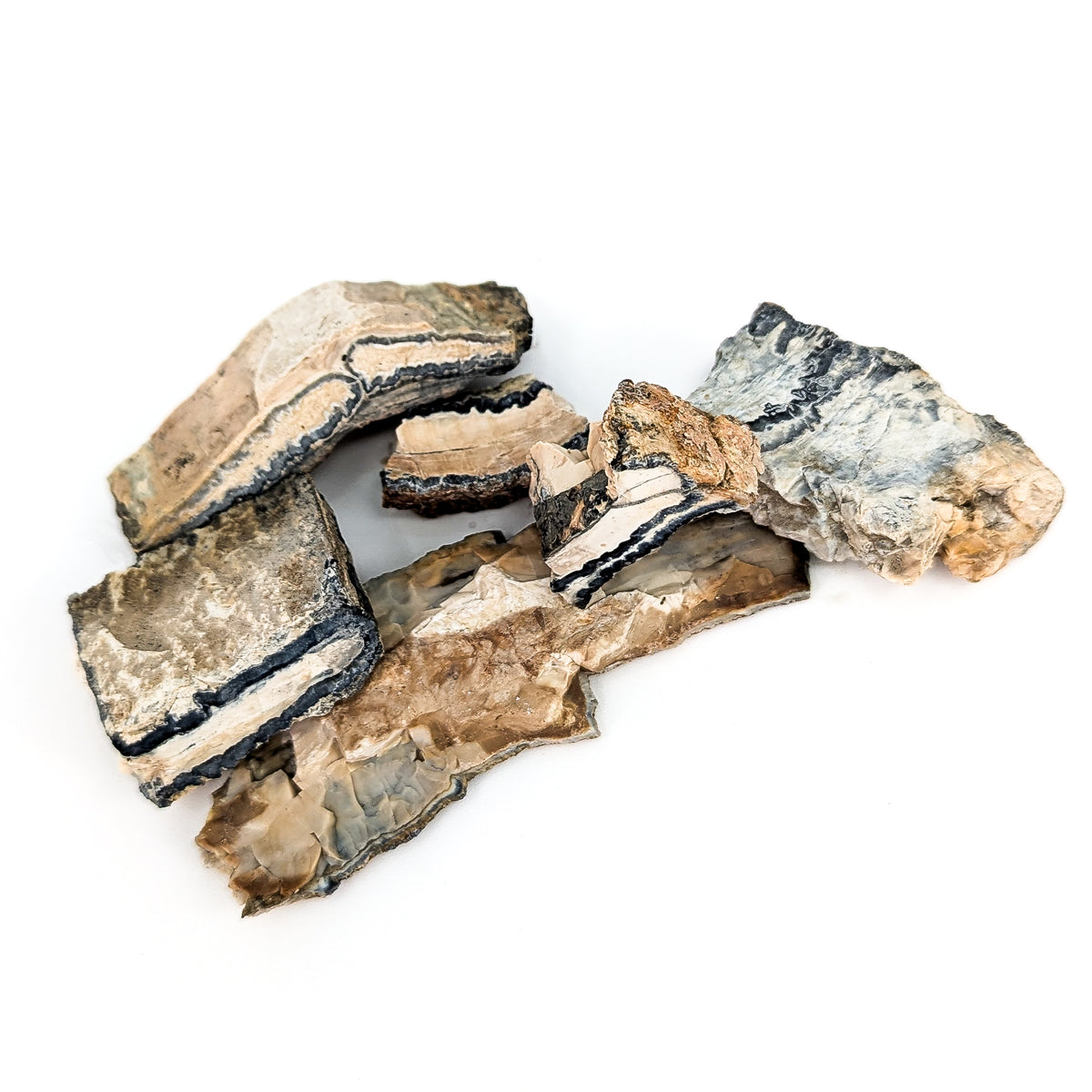 Mammoth tooth shard fossil rough from USA, photo 1 of 14