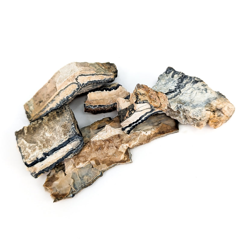 Mammoth Tooth Shards - Rough