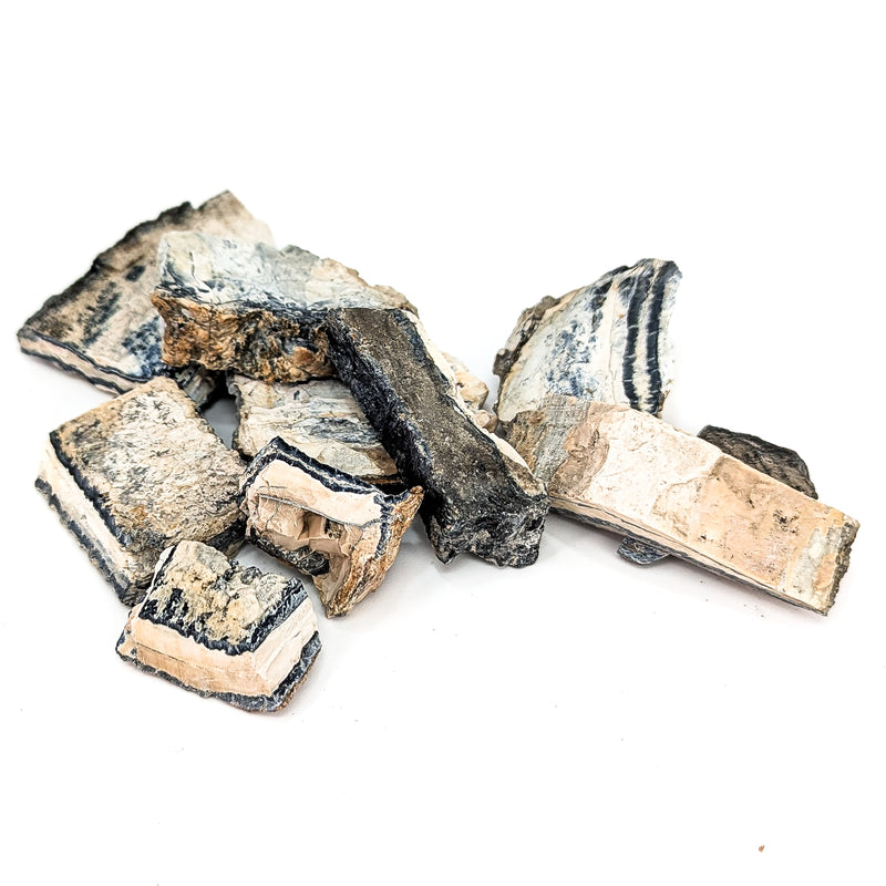 Mammoth Tooth Shards - Rough