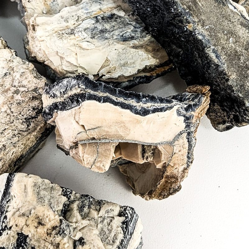 Mammoth Tooth Shards - Rough