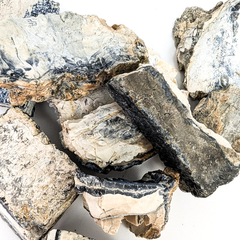 Mammoth Tooth Shards - Rough