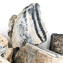 Mammoth Tooth Shards - Rough