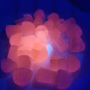 Mangano Calcite Mushroom - Carving