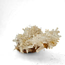 Mango Quartz Halloysite - Specimen