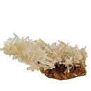 Mango Quartz Halloysite - Specimen
