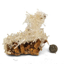 Mango Quartz Halloysite - Specimen
