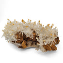 Mango Quartz Halloysite - Specimen
