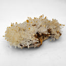 Mango Quartz Halloysite - Specimen