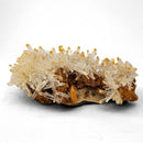 Mango Quartz Halloysite - Specimen