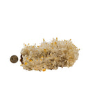 Mango Quartz Halloysite - Specimen