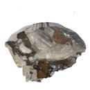Mercedes Calcite (Chalcopyrite on Calcite) - Specimen
