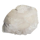 Mercedes Calcite (Chalcopyrite on Calcite) - Specimen