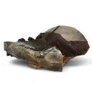 Mercedes Calcite (Chalcopyrite on Calcite) - Specimen