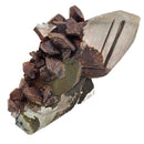Mercedes Calcite (Chalcopyrite on Calcite) - Specimen
