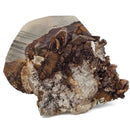 Mercedes Calcite (Chalcopyrite on Calcite) - Specimen