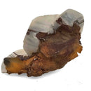 Mercedes Calcite (Chalcopyrite on Calcite) - Specimen