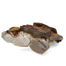 Mercedes Calcite (Chalcopyrite on Calcite) - Specimen