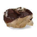 Mercedes Calcite (Chalcopyrite on Calcite) - Specimen