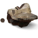 Mercedes Calcite (Chalcopyrite on Calcite) - Specimen