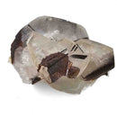 Mercedes Calcite (Chalcopyrite on Calcite) - Specimen