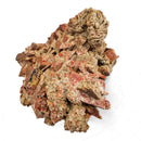 Microline - Specimen