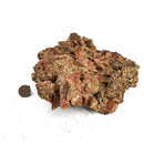 Microline - Specimen