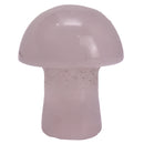 Mini Mushroom - Carving