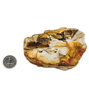 Mookaite - Rough - Australia