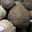 Moqui 弹珠 - 未加工