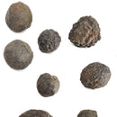 Moqui 弹珠 - 未加工