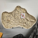 Mosasaurus Bones - Fossil In Jacket - Statement Specimen