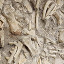 Mosasaurus Bones - Fossil In Jacket - Statement Specimen