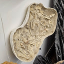 Mosasaurus Bones - Fossil In Jacket - Statement Specimen