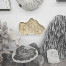 Mosasaurus Bones - Fossil In Jacket - Statement Specimen