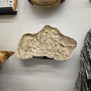 Mosasaurus Bones - Fossil In Jacket - Statement Specimen
