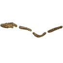 Mosasaurus Head & Spine - Fossil In Jacket 4PC Wall Mount - Statement Specimen