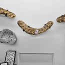 Mosasaurus Head & Spine - Fossil In Jacket 4PC Wall Mount - Statement Specimen